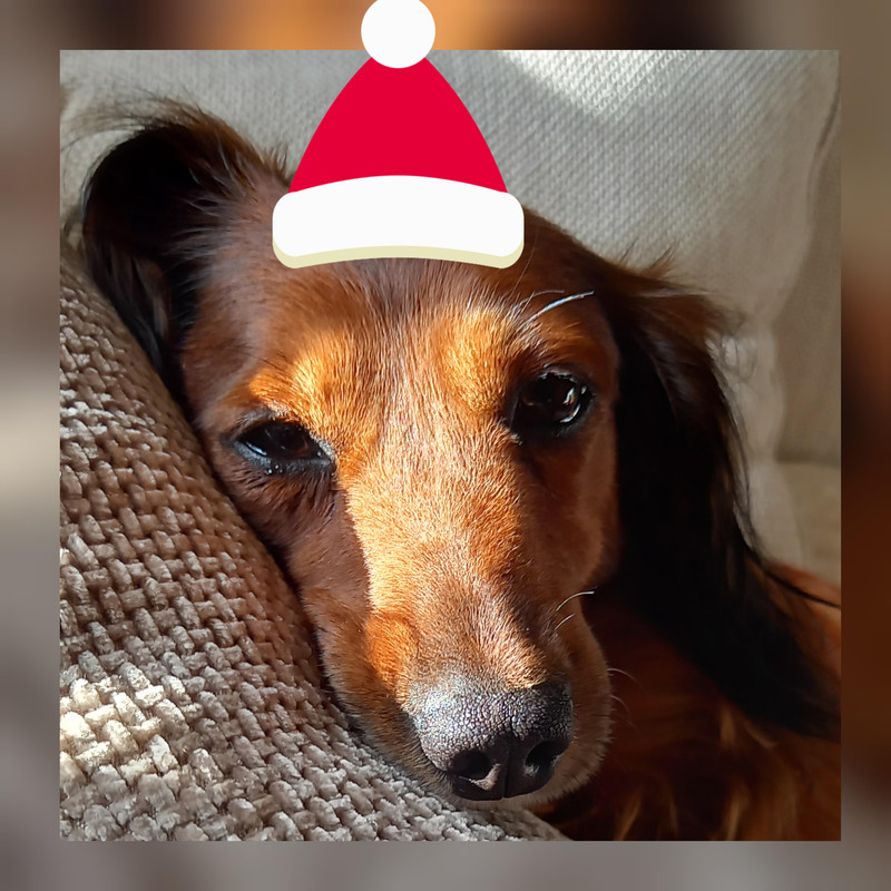 [Image: unnamed-1.jpg]