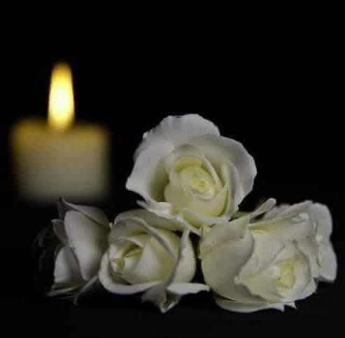 [Image: FB-IMG-1737640791767.jpg]