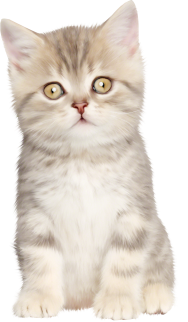 WINTER LOVE_DBJ-ELEM (57)