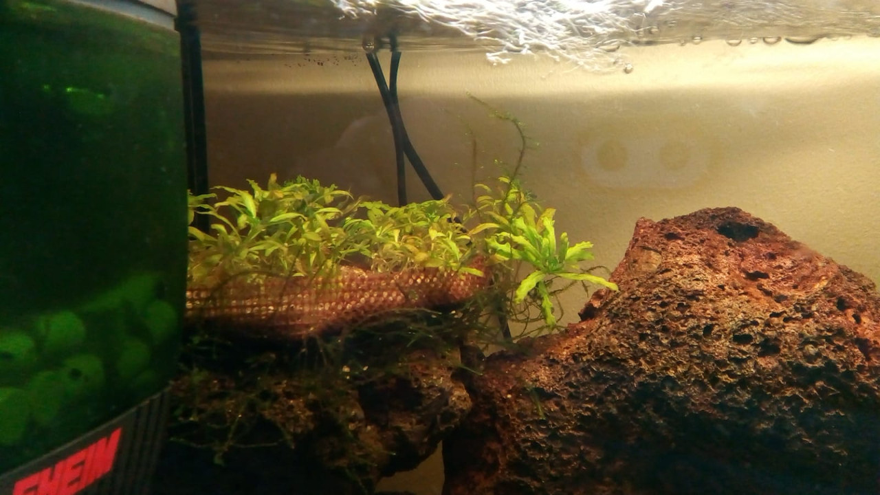 WhatsApp Image 2018-05-17 at 20.56.24(1)