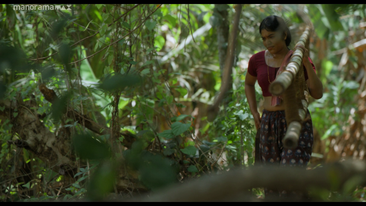 vlcsnap 2026 02 25 12h50m32s046