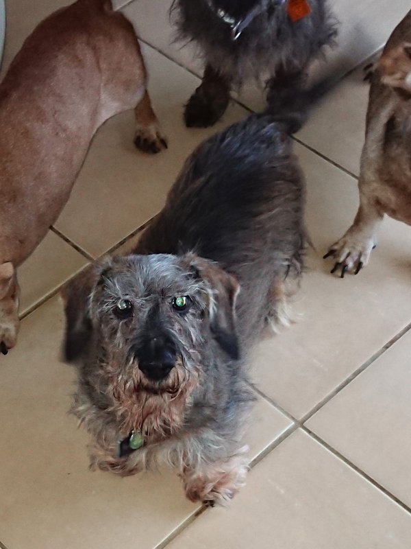 [Image: DSC-2471-A.jpg]