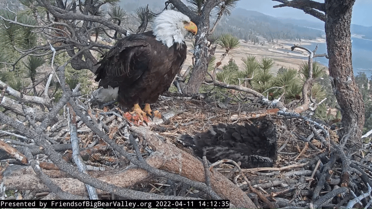 Webp.net-gifmaker (2)