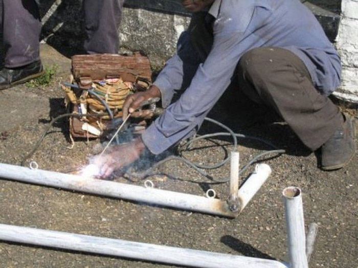 Типичные претенденты на Премию Дарвина