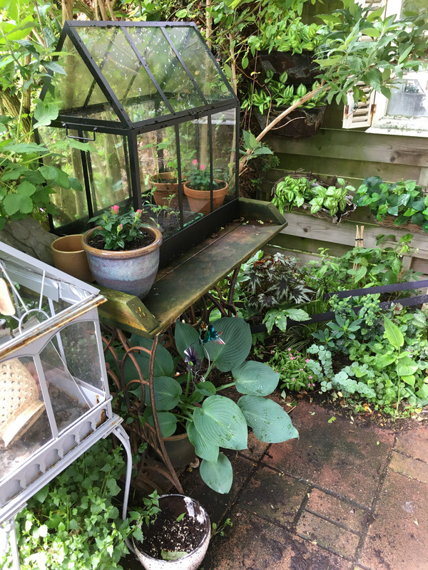 8171EA58-F471-4AC9-BA5C-6B62A69499A6