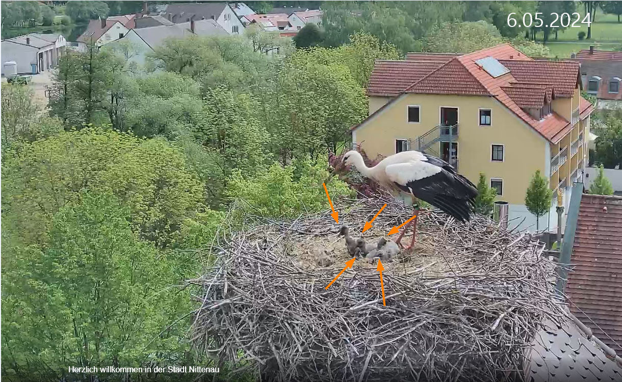 bandicam 2024-05-06 11-12-55-957