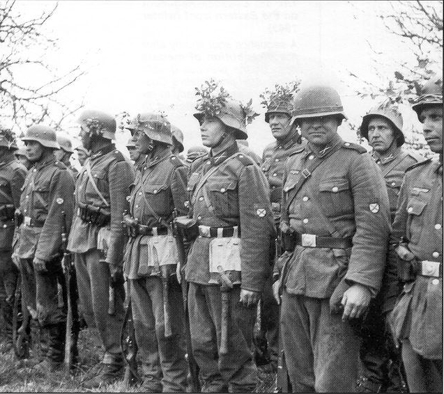 Efectivos de la brigada RONA