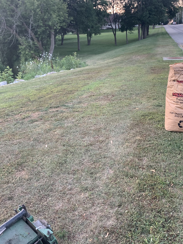 FC8DD5E7-CC1E-4F5F-9D9C-56CB657D537A