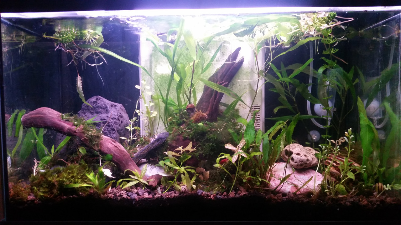 1670141015310-1643060929