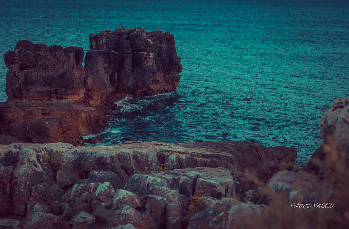 HIve-Boca-Inferno-1-18.jpg
