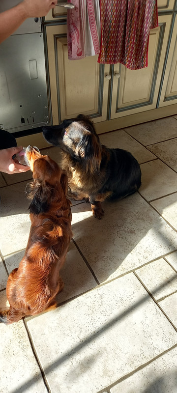 [Image: 20241129-125747.jpg]