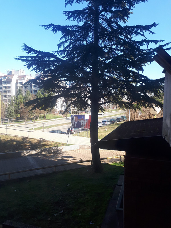 slika