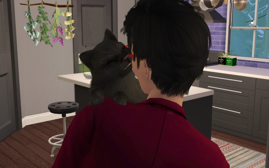 Sims2-EP9-RPC-2021-04-27-21-44-09-56