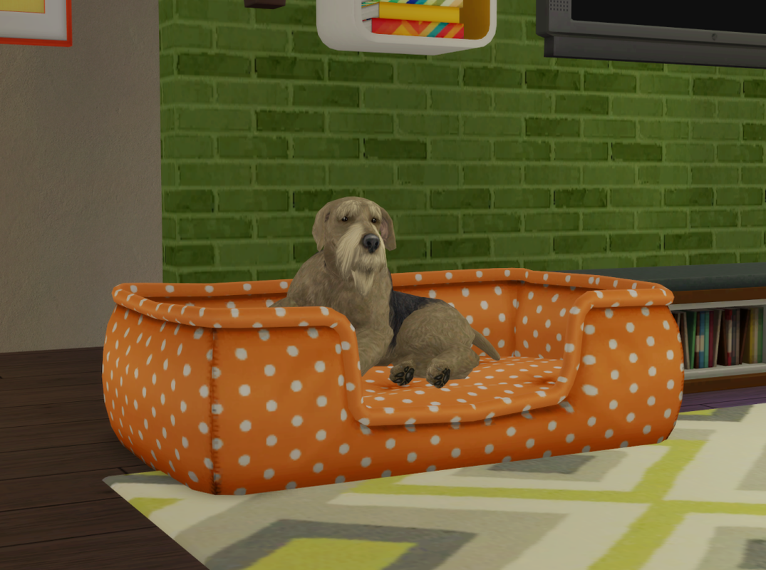 Sims2-EP9-RPC-2023-09-03-15-40-08-38