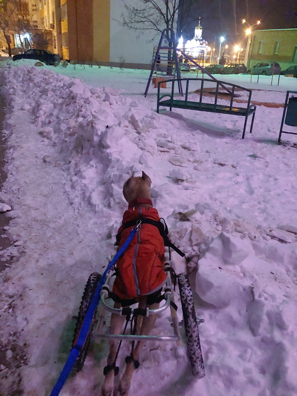 1C8DD768-7D53-47AC-A63C-D934026E60E0