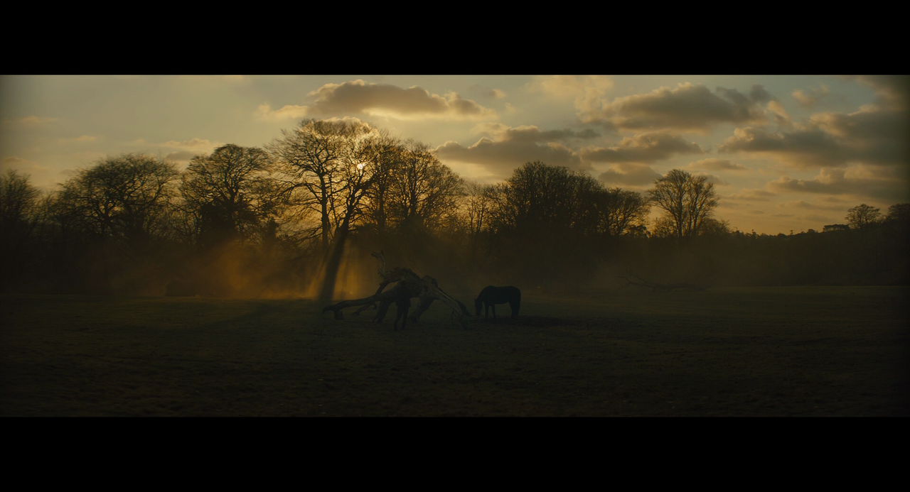 vlcsnap-2024-10-04-14h05m10s235.png
