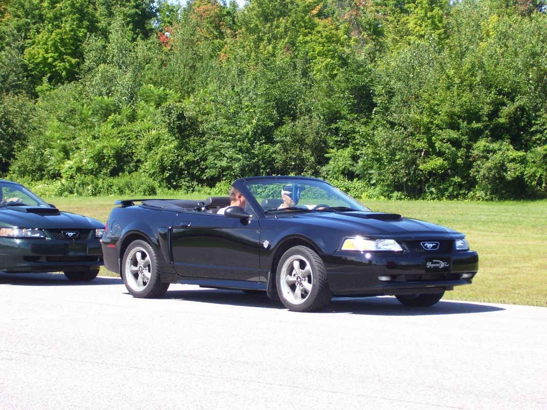 ford - Montréal Mustang: 40 ans et + d’activités! (Photos-Vidéos,etc...) - Page 19 100-0491