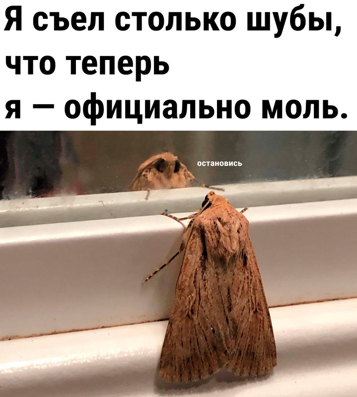 j-Uq-JKVde-1k.jpg