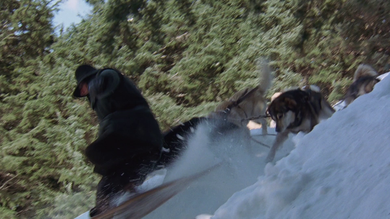 vlcsnap-2024-06-05-09h47m37s010