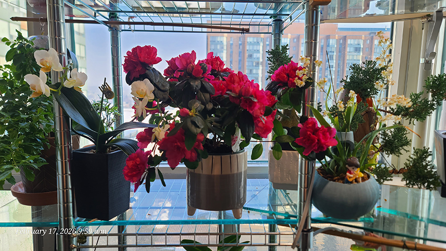 [Image: 20260217-095931.jpg]