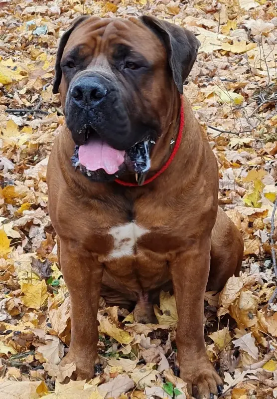 kYE_M7lXha5qs_6rg0-dyiUYxM1QMyZZ39faXgbDouzWI9eih_EFEynPB0aZFaqn04bFi7EpX0KIeadFmb0SGe4y