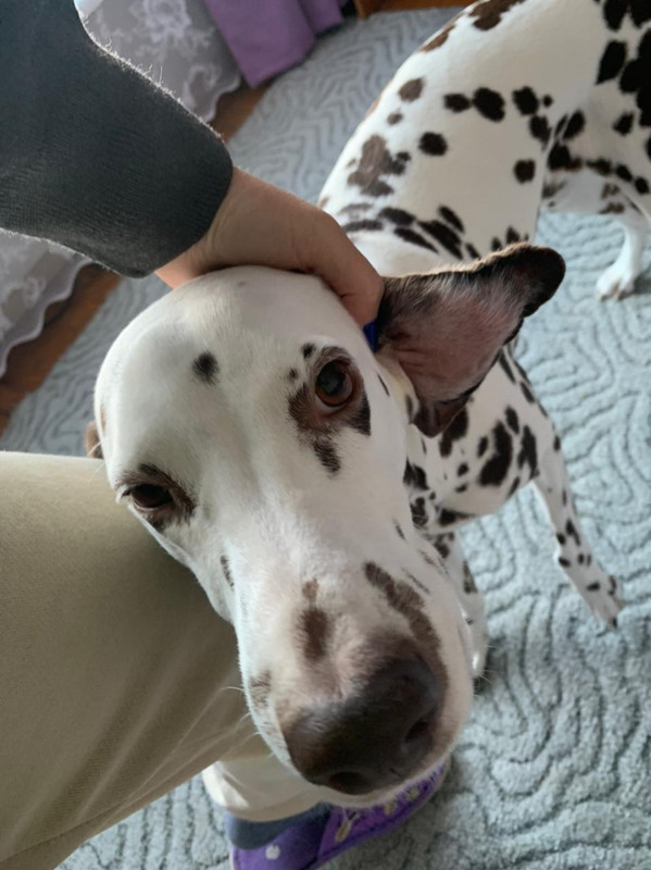 E5C72BA6-9CCE-4764-B79E-39804CA37762