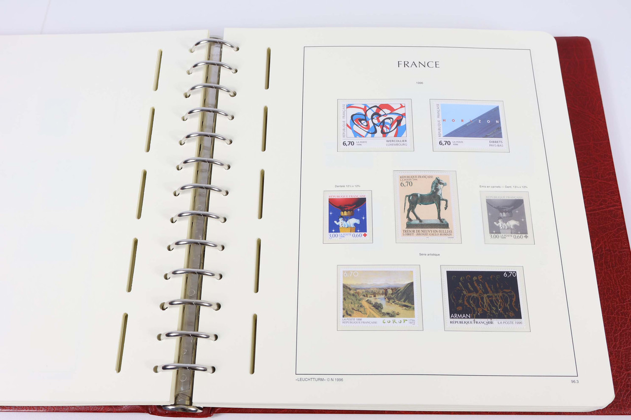 IMG 1694