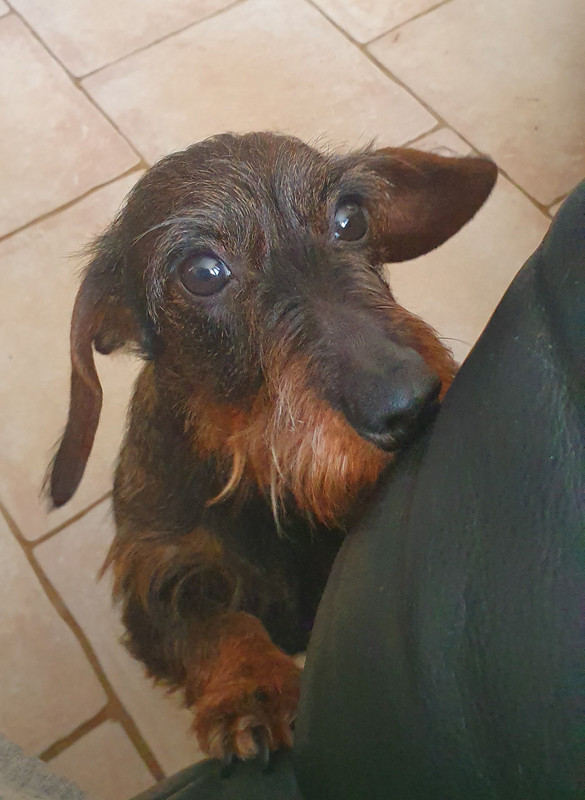 [Image: 20230326-101207.jpg]