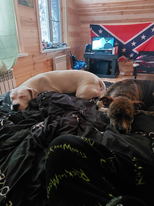 1CDCD007-05F9-4DE0-AE63-A37933D628BE