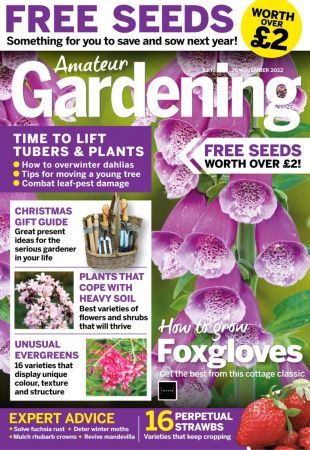 Amateur Gardening - 26 November 2022