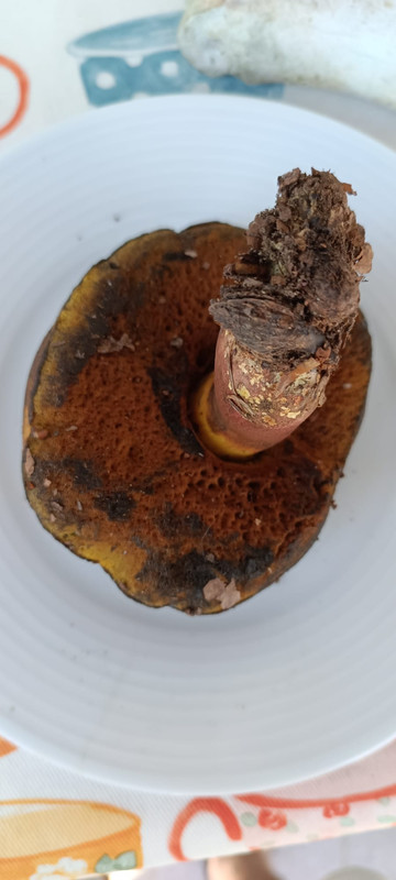 WhatsApp Image 2023-08-02 at 16.58.32 (2)