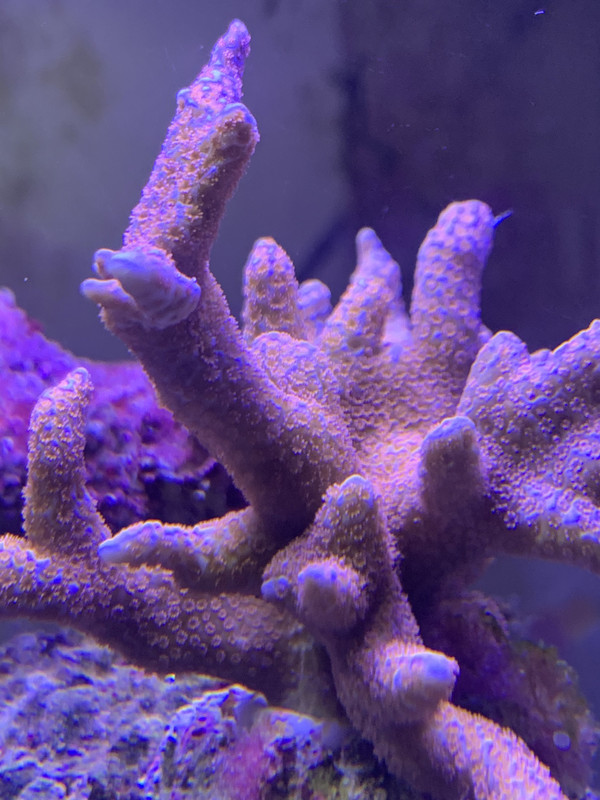 E98D04EA-A5AC-4A51-9B61-96F8482CB067