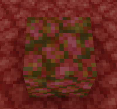 Fertilized Netherrack