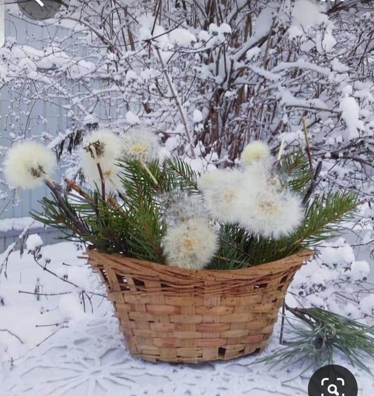 Screenshot_20230616_183236_Pinterest