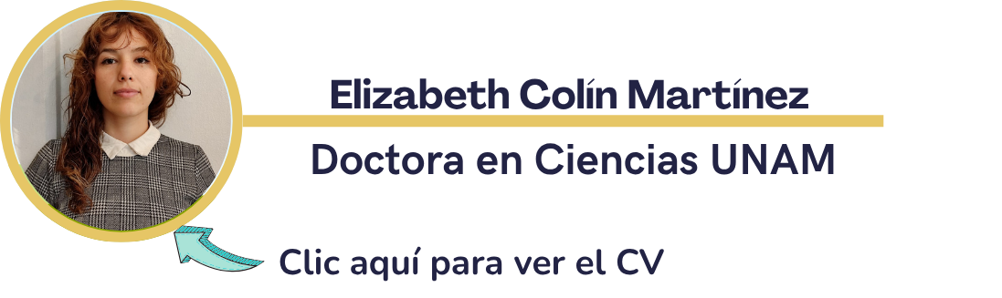 Jesús E. Gutiérrez Cruz