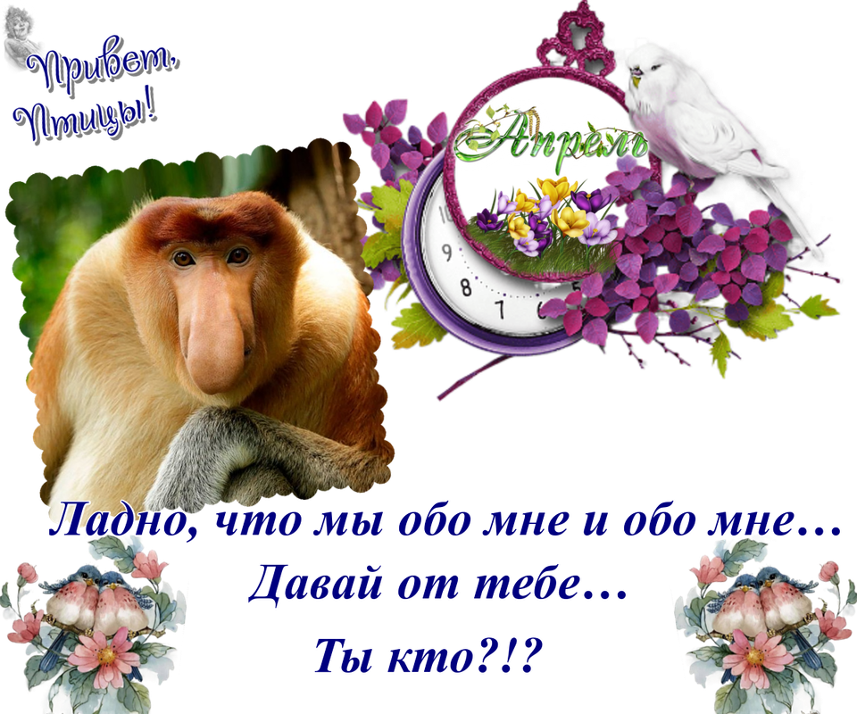 https://i.postimg.cc/0Np5PQj0/08-04.png
