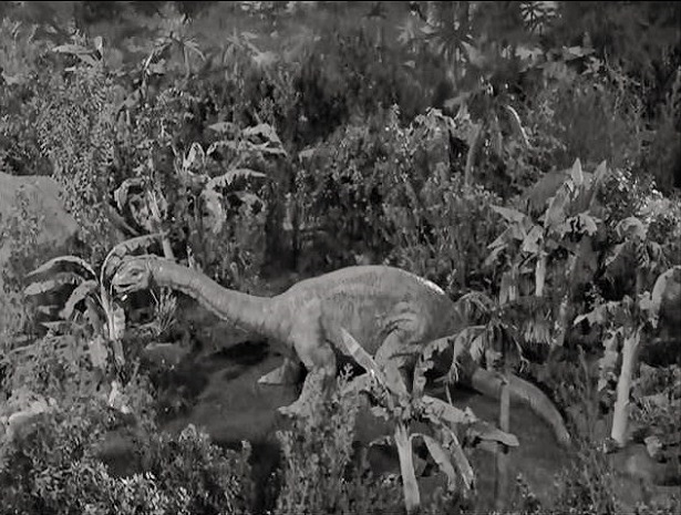 SERLING-ODYSSEY-FLIGHT-33-2.jpg
