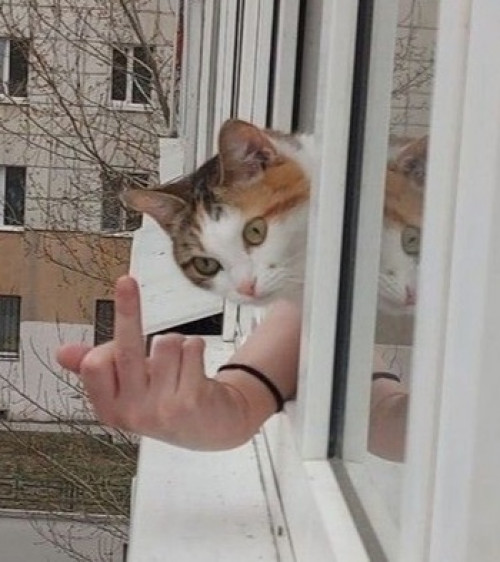 thumbs-picdump904-46.jpg