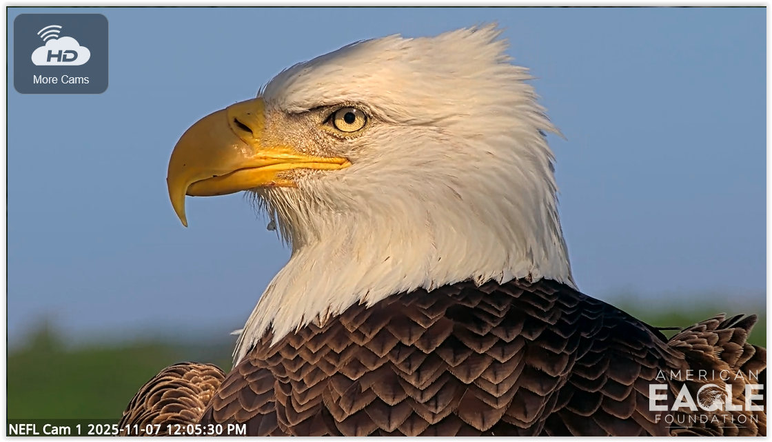 Screen Shot 11 07 25 at 06 08 PM