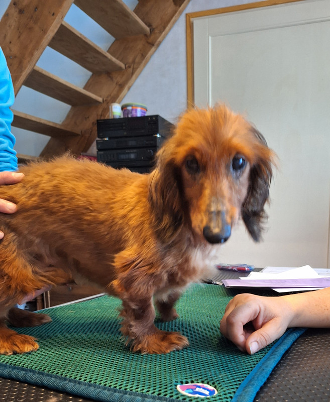 [Image: 20240430-193935.jpg]