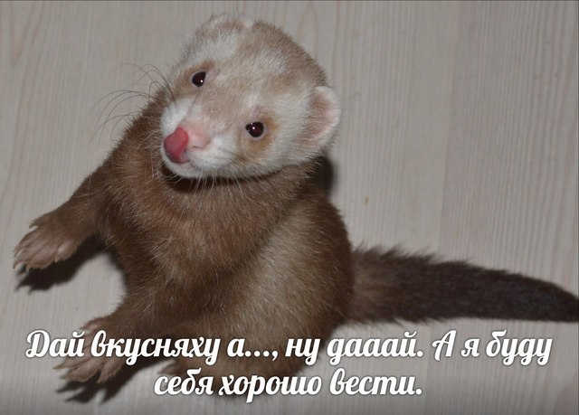 2cQTpQ0MfrI