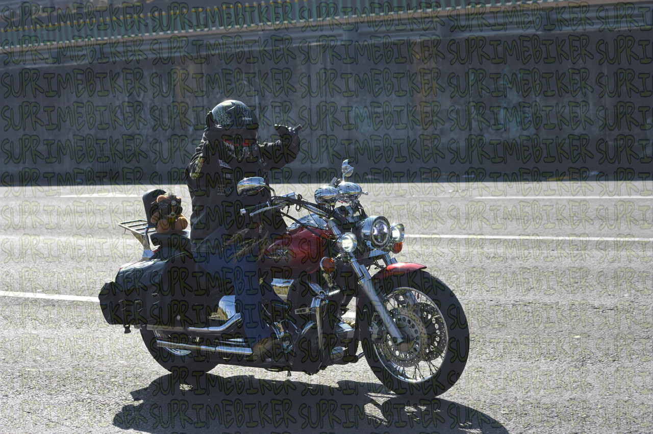 DSC 0124