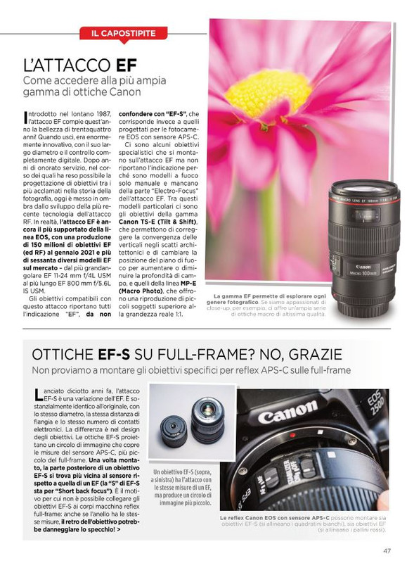 P Pro Set-Ott 2021 (10)