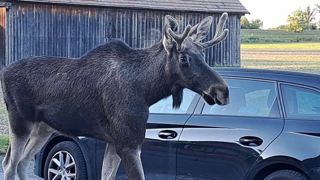 img-SiZVYTdJbALnz8WO