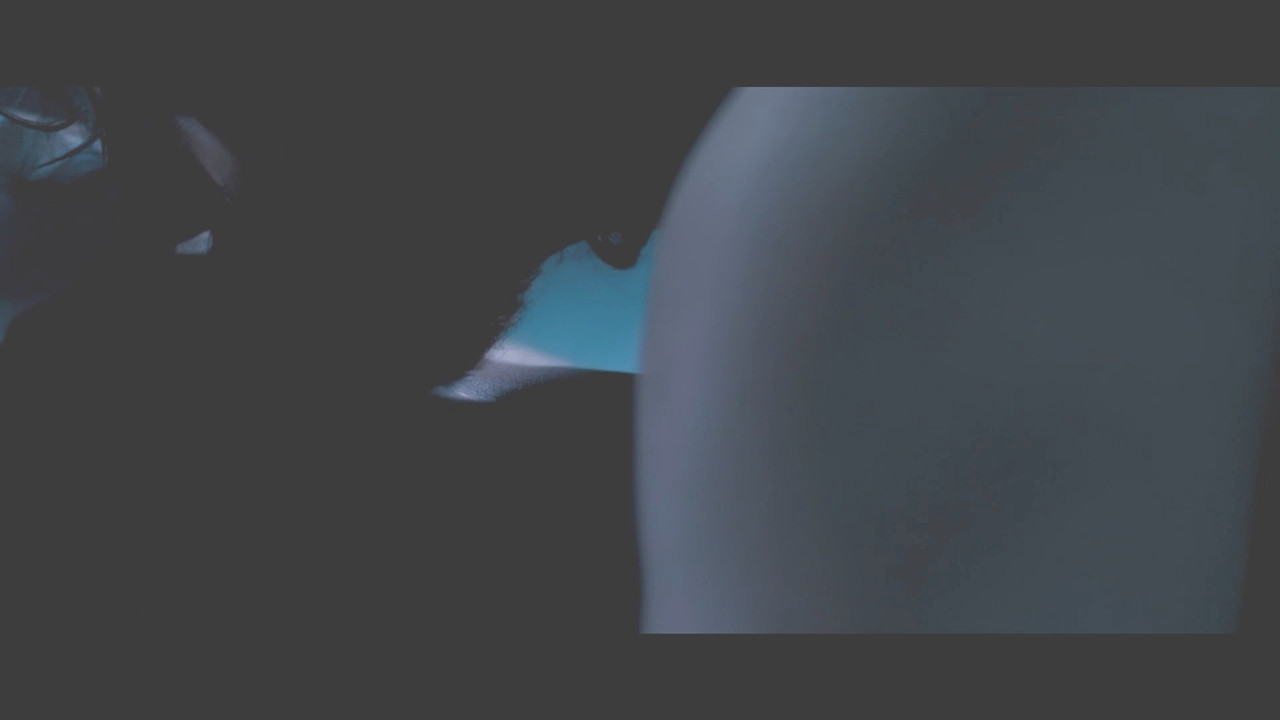 Raima Sen Hot Navel From Mirch 2010 1080p Light Version.mp4_snapshot_00.31_[2020.12.02_20.41.30]