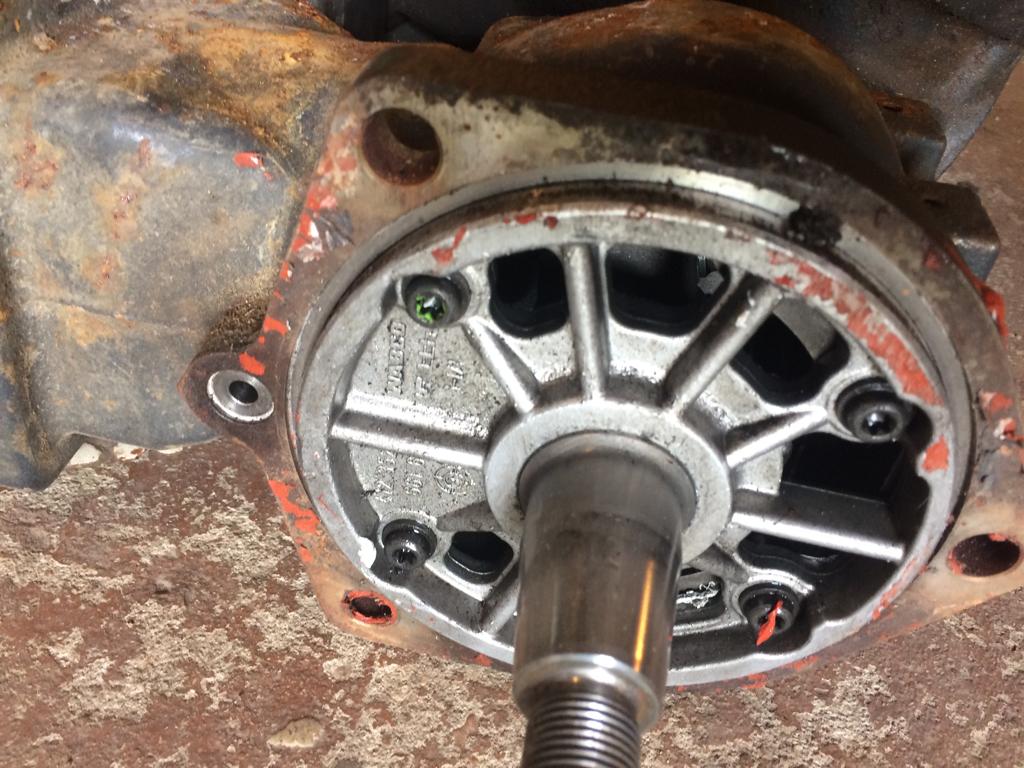 WhatsApp Image 2018-07-16 at 09.25.16(1)