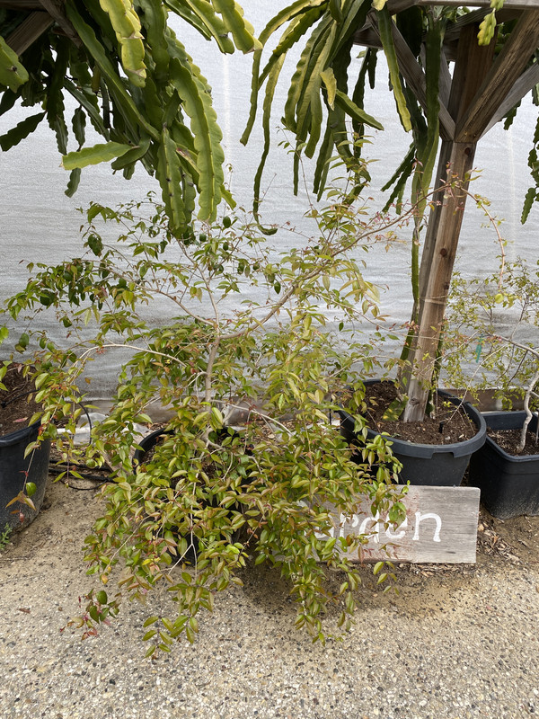 9C1D80B7-BDEB-4B4B-97A8-FAD6193A49E6