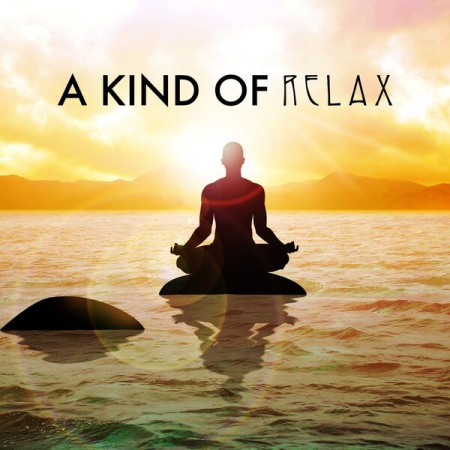 b9161460 bbb8 4689 89e0 c05614155563 - VA - A Kind of Relax (2022)