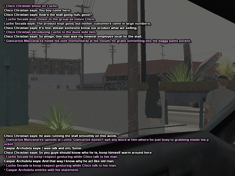 SS133.png