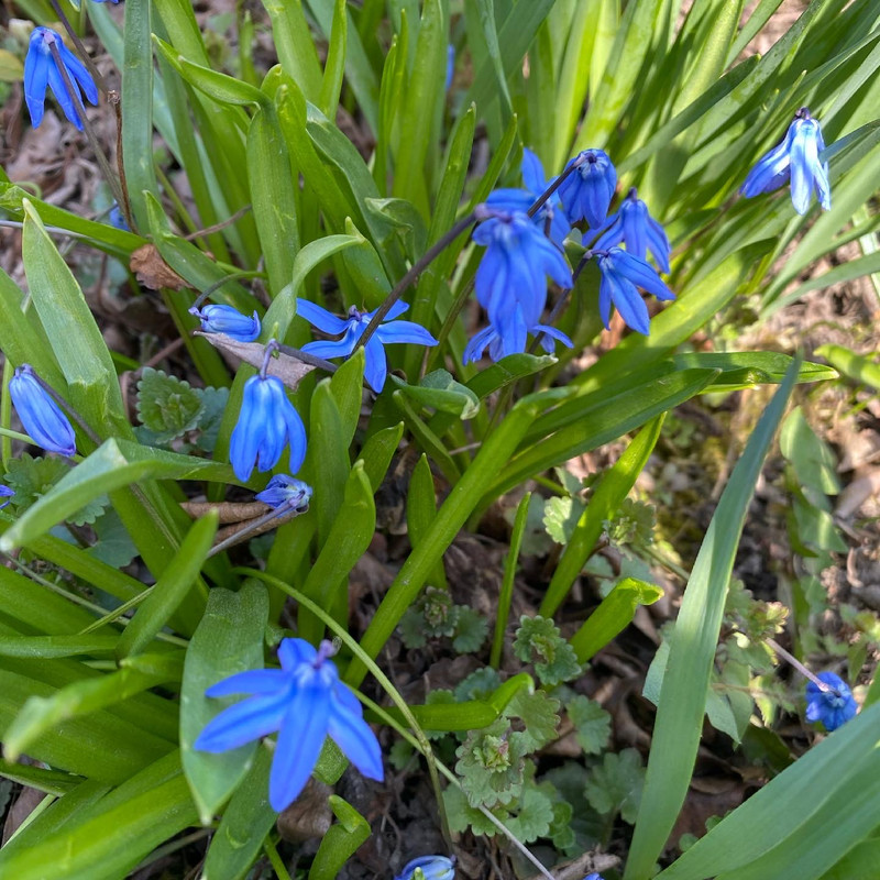 A524060C-9E0D-4FA8-BCD9-ACE7E79B311F